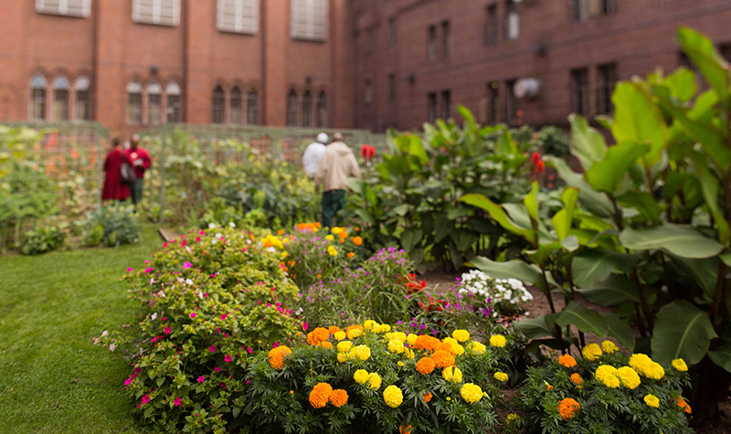 Garden with flowers.