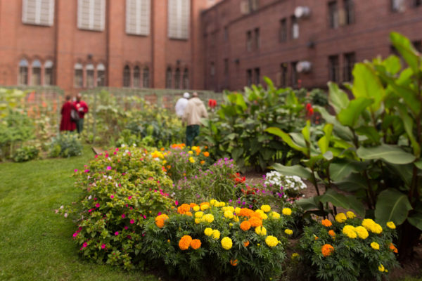 Woodbourne Urban Farming