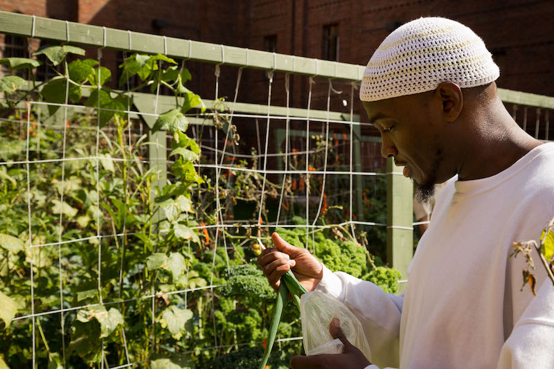 A student holding green onions grown in the garden.